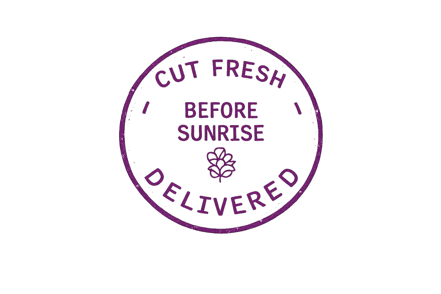 Cut fresh before sunrise