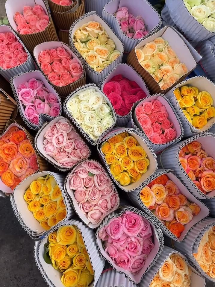 Fresh wholesale roses — Dutch Roses, Local Roses, Button Roses